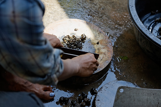 Famille & amis-MAI14-090